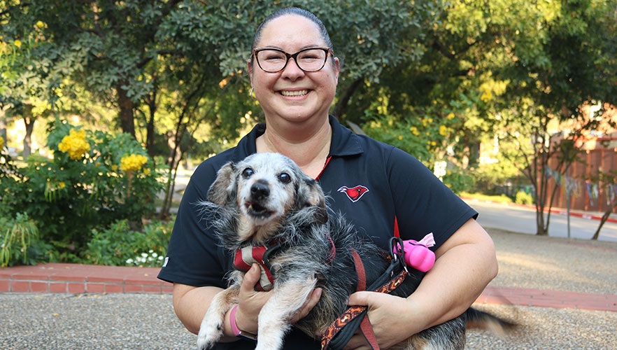 Dog with owner