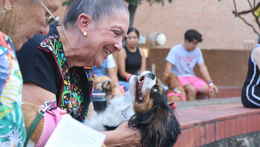 Dog with owner