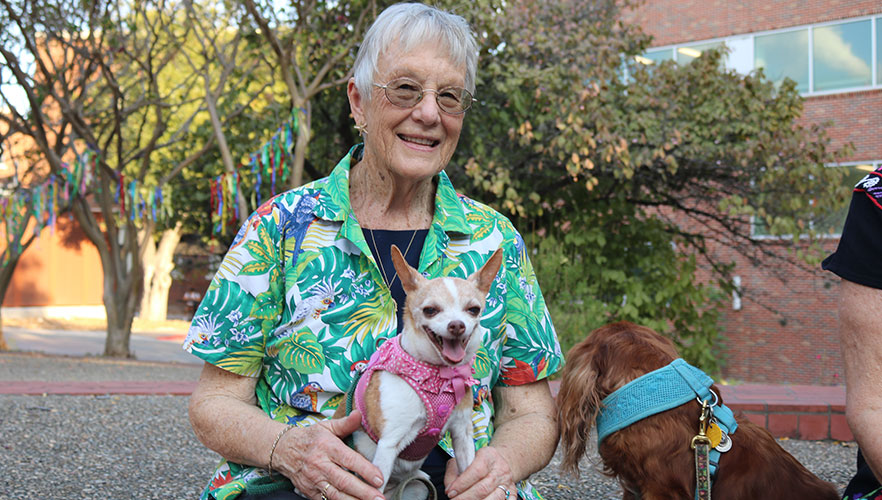 Dog with owner