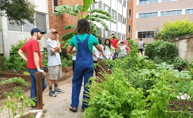 Garden with students